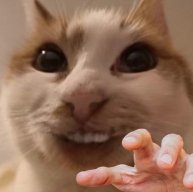 AlexJeison